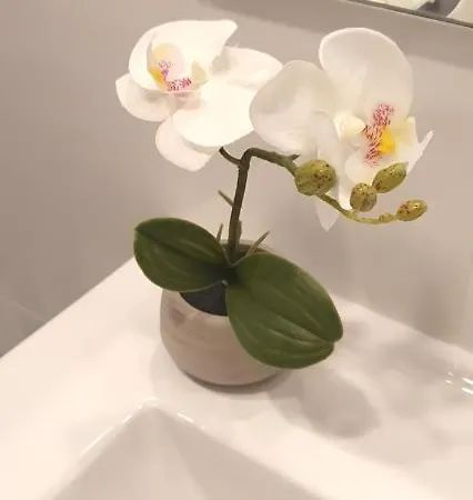 Apartmán Afonso Galo Guest Ii Almada